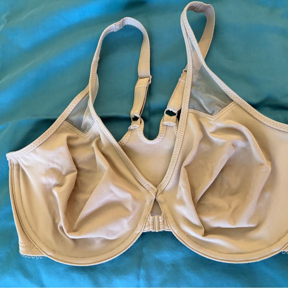 Wacoal 36DD